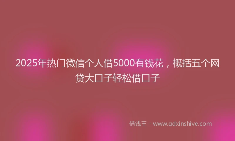 2025年热门微信个人借5000有钱花，概括五个网贷大口子轻松借口子