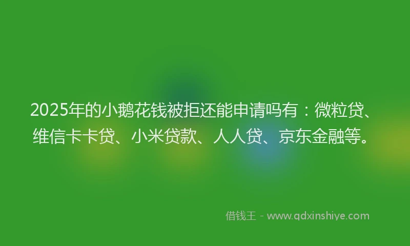 2025年的小鹅花钱被拒还能申请吗有：微粒贷、维信卡卡贷、小米贷款、人人贷、京东金融等。
