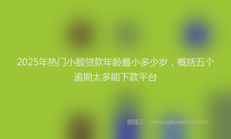 2025年热门小额贷款年龄最小多少岁，概括五个逾期太多能下款平台
