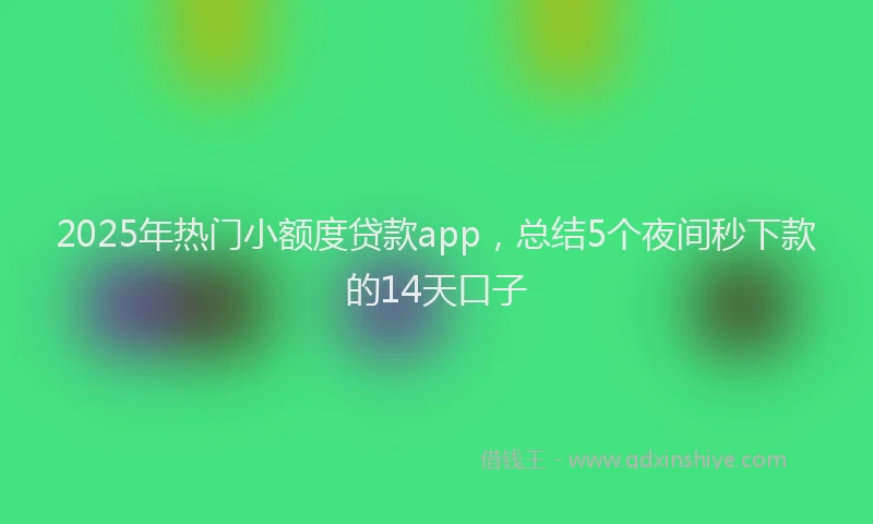 2025年热门小额度贷款app，总结5个夜间秒下款的14天口子