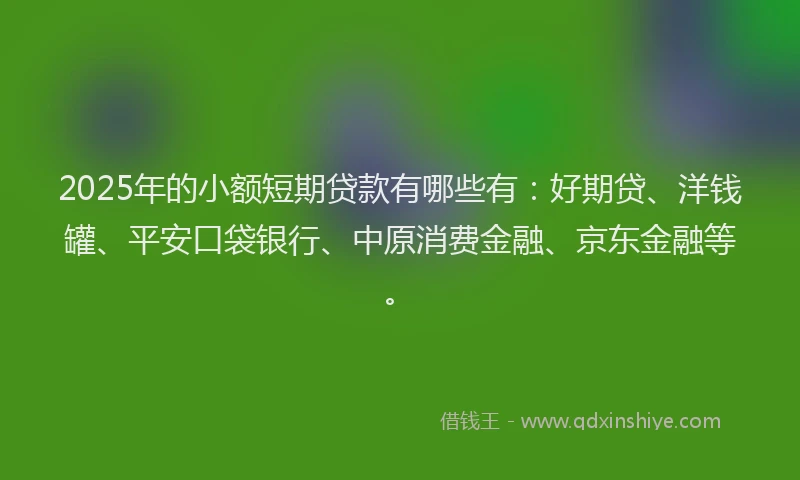 2025年的小额短期贷款有哪些有：好期贷、洋钱罐、平安口袋银行、中原消费金融、京东金融等。
