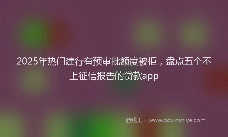 2025年热门建行有预审批额度被拒,盘点五个不上征信报告的贷款app