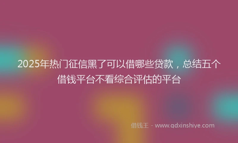 2025年热门征信黑了可以借哪些贷款，总结五个借钱平台不看综合评估的平台