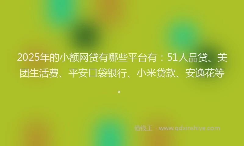 2025年的小额网贷有哪些平台有：51人品贷、美团生活费、平安口袋银行、小米贷款、安逸花等。