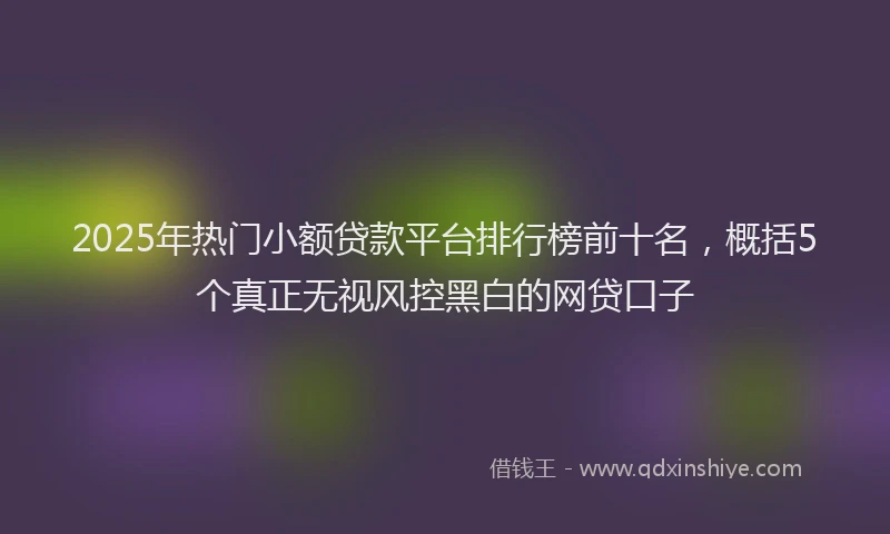 2025年热门小额贷款平台排行榜前十名，概括5个真正无视风控黑白的网贷口子