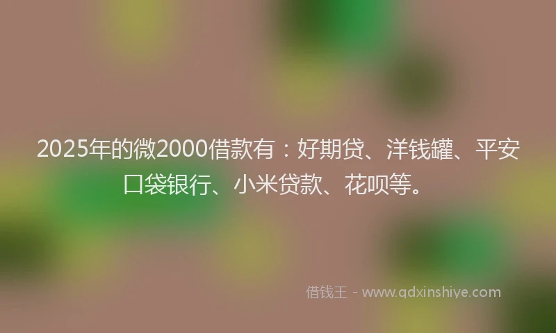 2025年的微2000借款有：好期贷、洋钱罐、平安口袋银行、小米贷款、花呗等。