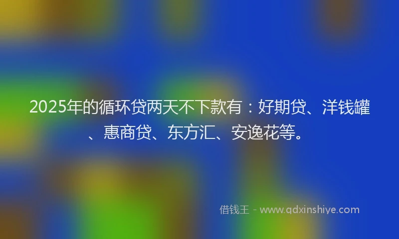 2025年的循环贷两天不下款有：好期贷、洋钱罐、惠商贷、东方汇、安逸花等。