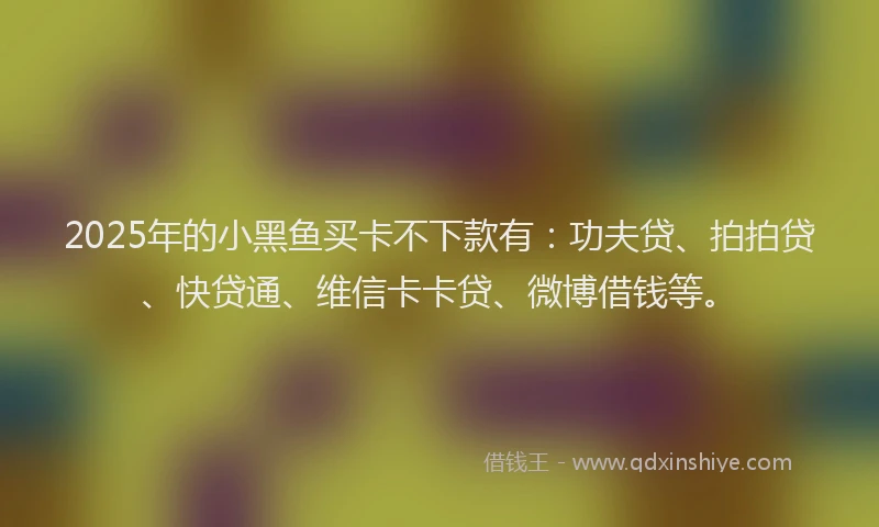 2025年的小黑鱼买卡不下款有：功夫贷、拍拍贷、快贷通、维信卡卡贷、微博借钱等。