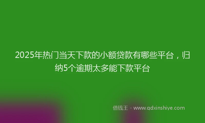 2025年热门当天下款的小额贷款有哪些平台，归纳5个逾期太多能下款平台