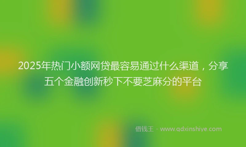 2025年热门小额网贷最容易通过什么渠道，分享五个金融创新秒下不要芝麻分的平台