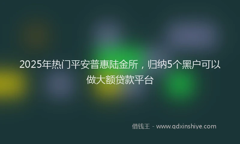 2025年热门平安普惠陆金所，归纳5个黑户可以做大额贷款平台
