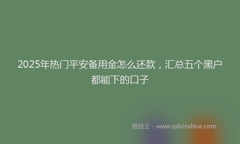 2025年热门平安备用金怎么还款，汇总五个黑户都能下的口子