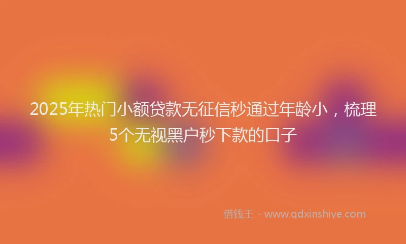 2025年热门小额贷款无征信秒通过年龄小，梳理5个无视黑户秒下款的口子