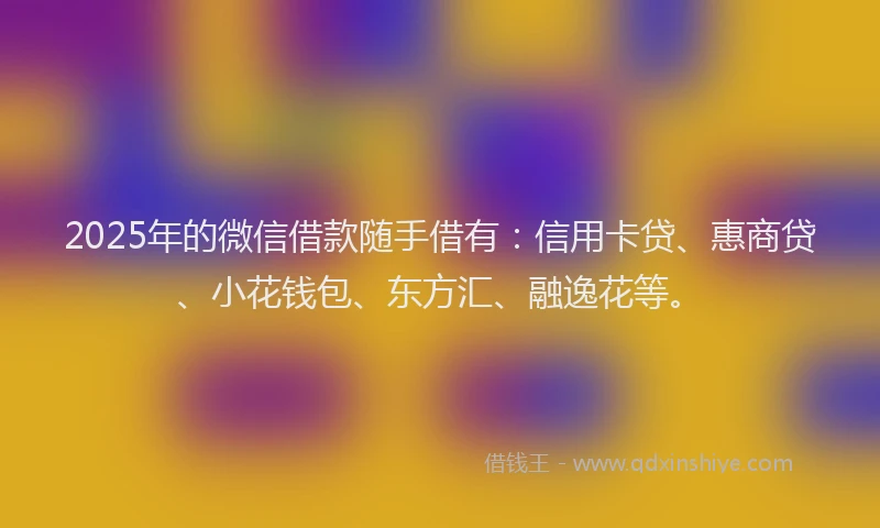 2025年的微信借款随手借有：信用卡贷、惠商贷、小花钱包、东方汇、融逸花等。