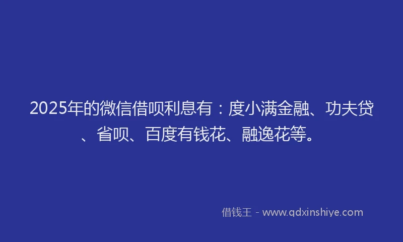 2025年的微信借呗利息有：度小满金融、功夫贷、省呗、百度有钱花、融逸花等。