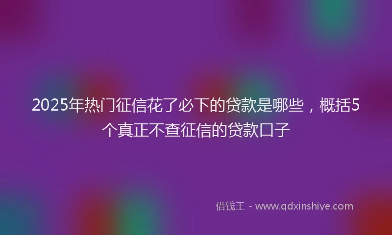 2025年热门征信花了必下的贷款是哪些，概括5个真正不查征信的贷款口子