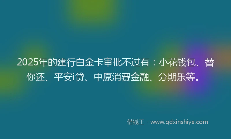 2025年的建行白金卡审批不过有：小花钱包、替你还、平安i贷、中原消费金融、分期乐等。