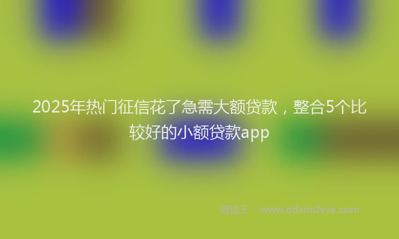 2025年热门征信花了急需大额贷款，整合5个比较好的小额贷款app