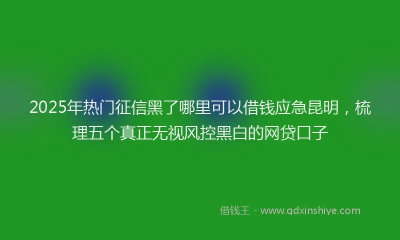 2025年热门征信黑了哪里可以借钱应急昆明，梳理五个真正无视风控黑白的网贷口子