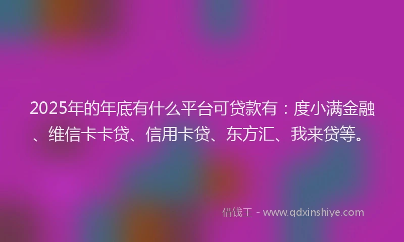 2025年的年底有什么平台可贷款有：度小满金融、维信卡卡贷、信用卡贷、东方汇、我来贷等。