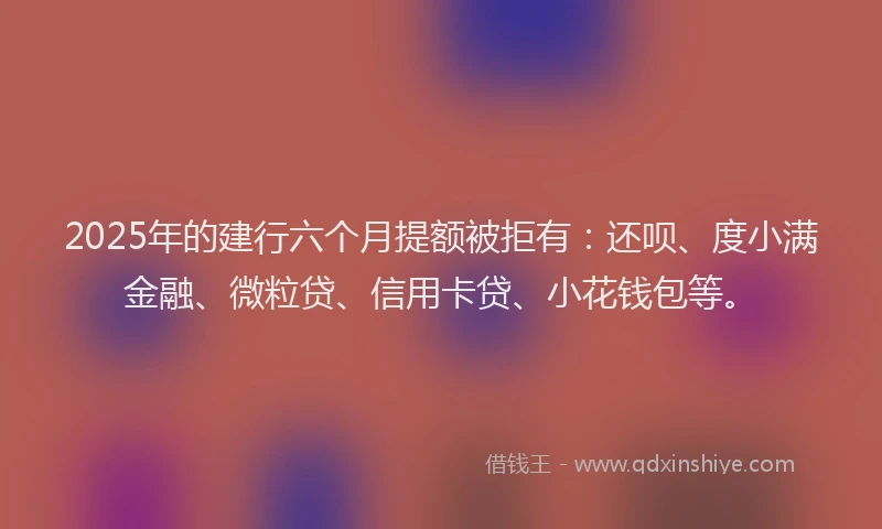 2025年的建行六个月提额被拒有：还呗、度小满金融、微粒贷、信用卡贷、小花钱包等。