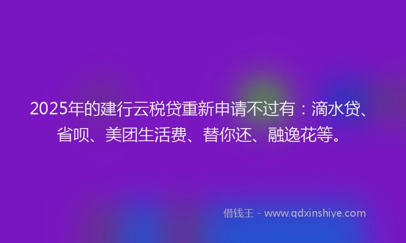 2025年的建行云税贷重新申请不过有：滴水贷、省呗、美团生活费、替你还、融逸花等。