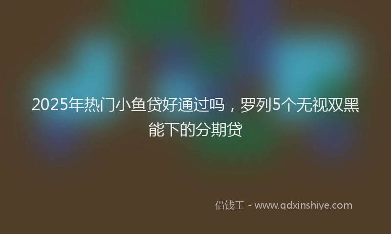 2025年热门小鱼贷好通过吗，罗列5个无视双黑能下的分期贷