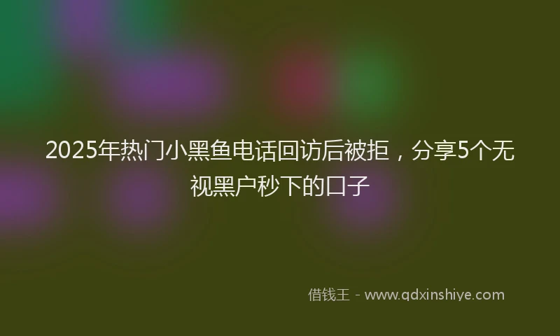 2025年热门小黑鱼电话回访后被拒，分享5个无视黑户秒下的口子