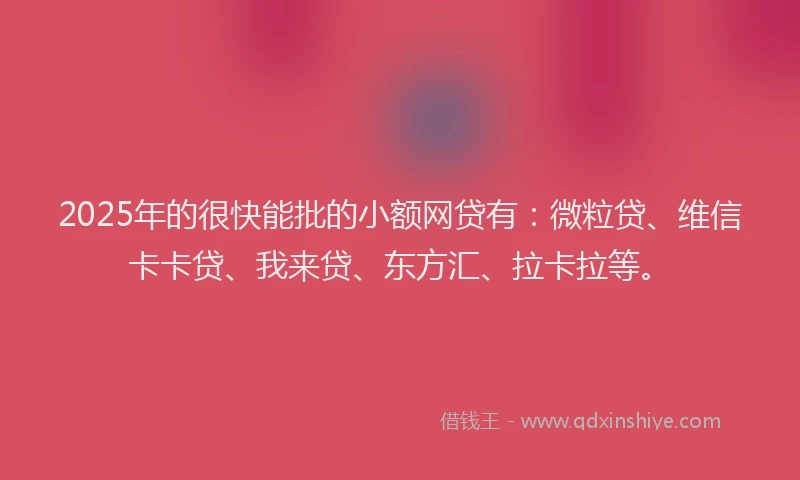 2025年的很快能批的小额网贷有：微粒贷、维信卡卡贷、我来贷、东方汇、拉卡拉等。