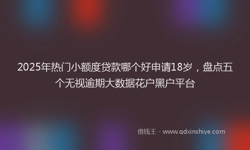 2025年热门小额度贷款哪个好申请18岁,盘点五个无视逾期大数据花户黑户平台