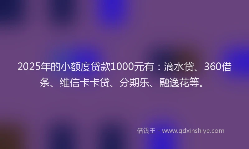 2025年的小额度贷款1000元有：滴水贷、360借条、维信卡卡贷、分期乐、融逸花等。