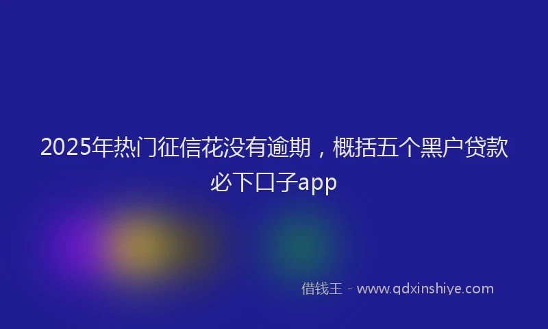 2025年热门征信花没有逾期，概括五个黑户贷款必下口子app