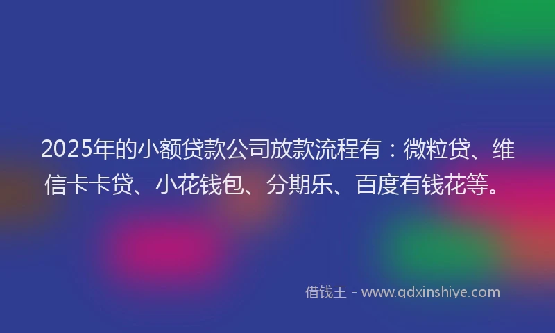2025年的小额贷款公司放款流程有:微粒贷、维信卡卡贷、小花钱包、分期乐、百度有钱花等。