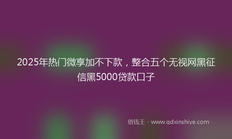 2025年热门微享加不下款，整合五个无视网黑征信黑5000贷款口子