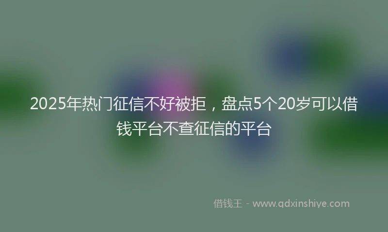 2025年热门征信不好被拒，盘点5个20岁可以借钱平台不查征信的平台