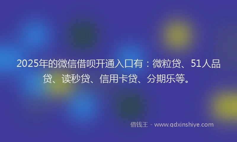 2025年的微信借呗开通入口有：微粒贷、51人品贷、读秒贷、信用卡贷、分期乐等。