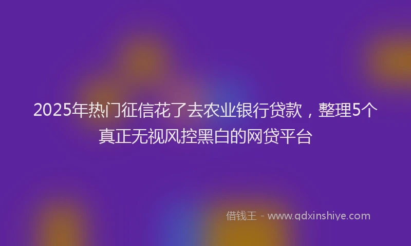 2025年热门征信花了去农业银行贷款，整理5个真正无视风控黑白的网贷平台