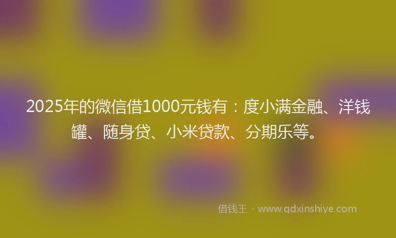 2025年的微信借1000元钱有：度小满金融、洋钱罐、随身贷、小米贷款、分期乐等。