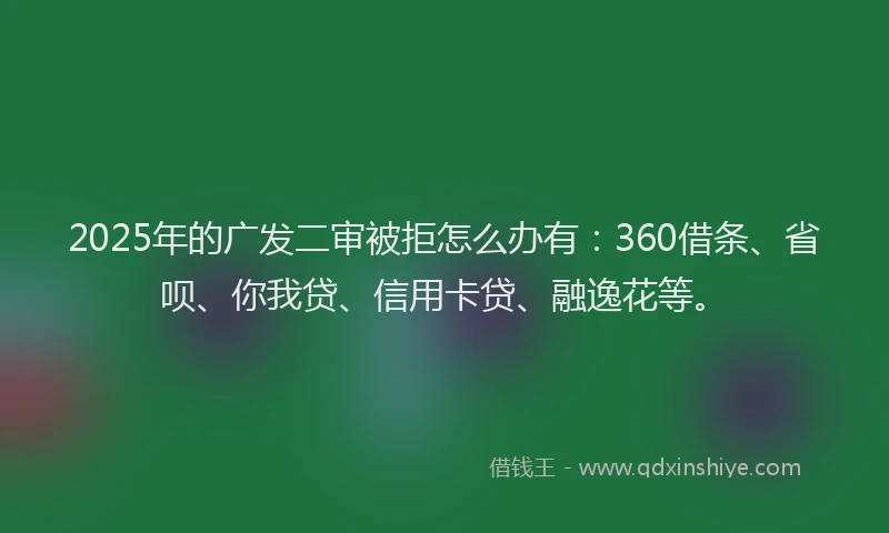 2025年的广发二审被拒怎么办有：360借条、省呗、你我贷、信用卡贷、融逸花等。
