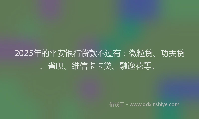 2025年的平安银行贷款不过有：微粒贷、功夫贷、省呗、维信卡卡贷、融逸花等。