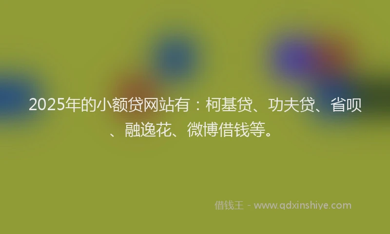 2025年的小额贷网站有：柯基贷、功夫贷、省呗、融逸花、微博借钱等。