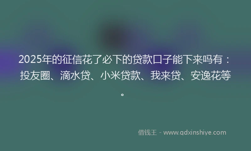 2025年的征信花了必下的贷款口子能下来吗有：投友圈、滴水贷、小米贷款、我来贷、安逸花等。