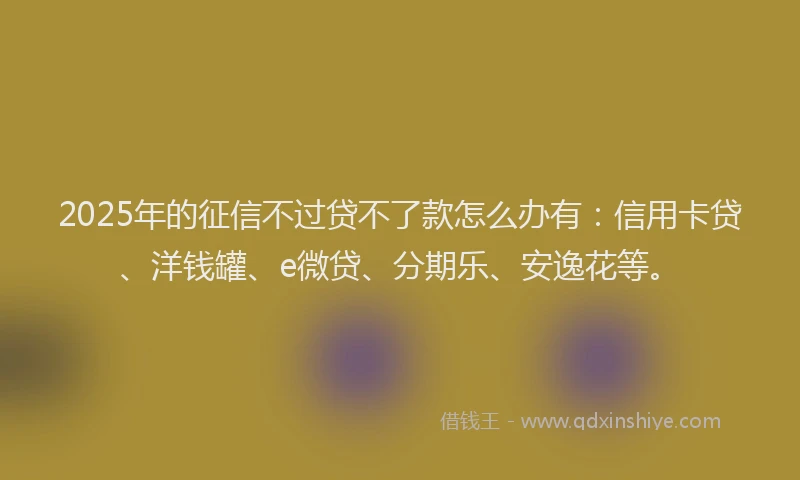 2025年的征信不过贷不了款怎么办有：信用卡贷、洋钱罐、e微贷、分期乐、安逸花等。