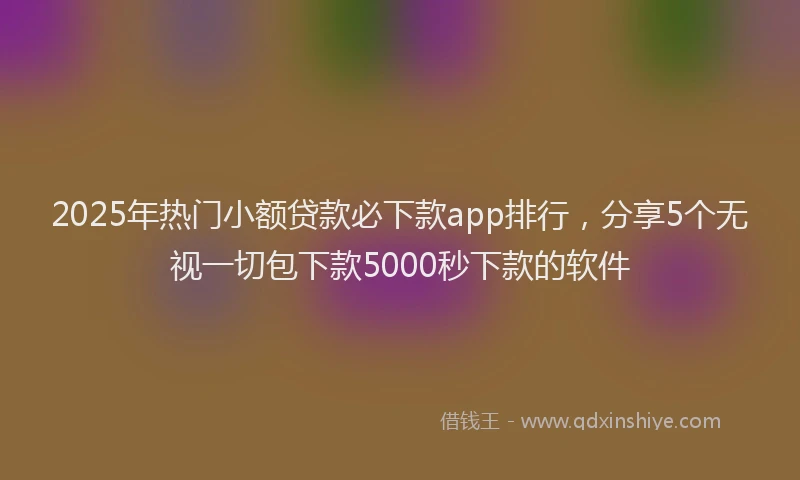 2025年热门小额贷款必下款app排行，分享5个无视一切包下款5000秒下款的软件