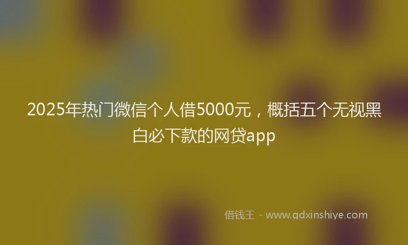 2025年热门微信个人借5000元，概括五个无视黑白必下款的网贷app