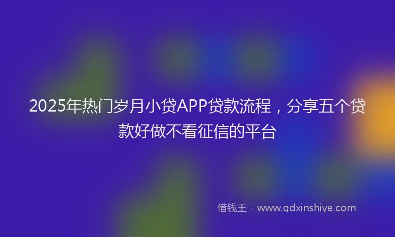 2025年热门岁月小贷APP贷款流程，分享五个贷款好做不看征信的平台