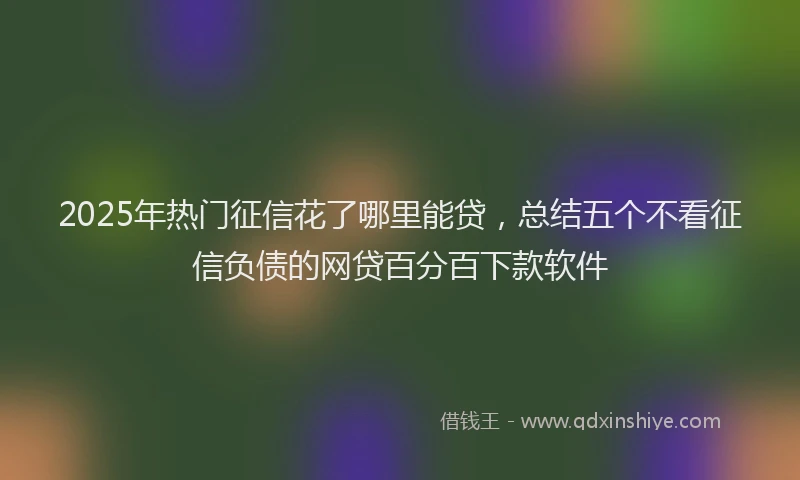 2025年热门征信花了哪里能贷，总结五个不看征信负债的网贷百分百下款软件
