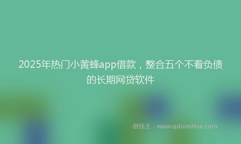2025年热门小黄蜂app借款，整合五个不看负债的长期网贷软件
