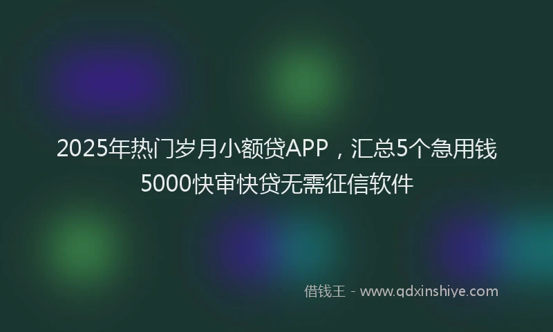 2025年热门岁月小额贷APP，汇总5个急用钱5000快审快贷无需征信软件