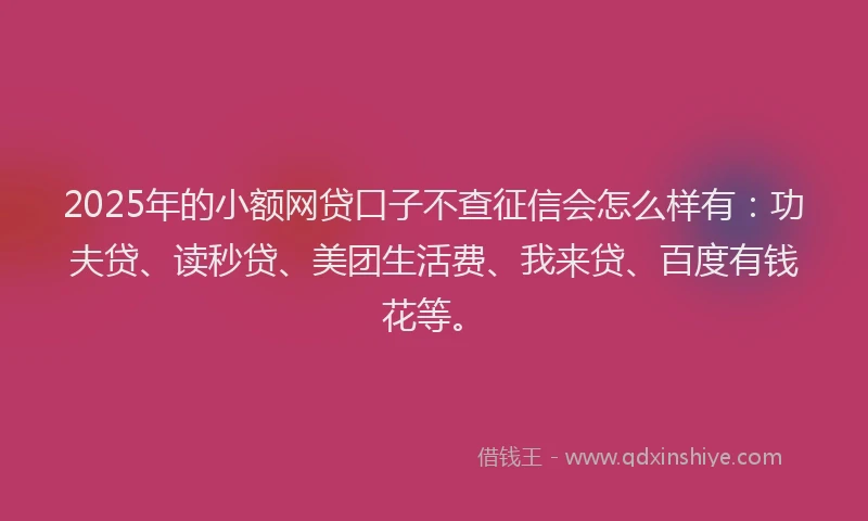 2025年的小额网贷口子不查征信会怎么样有：功夫贷、读秒贷、美团生活费、我来贷、百度有钱花等。